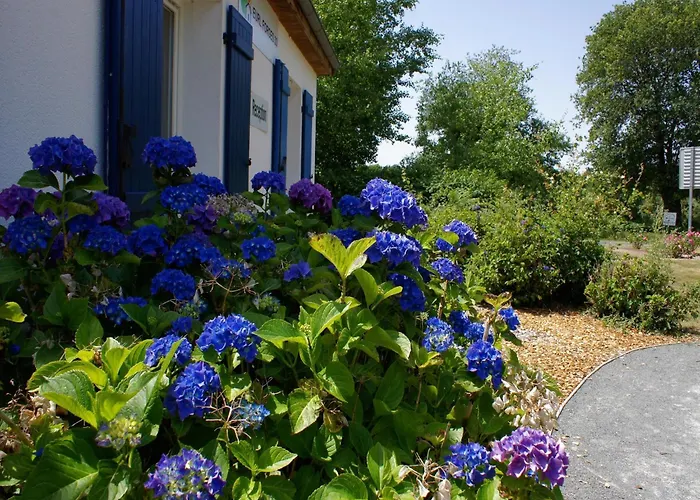 Spacious With Garden And Pool