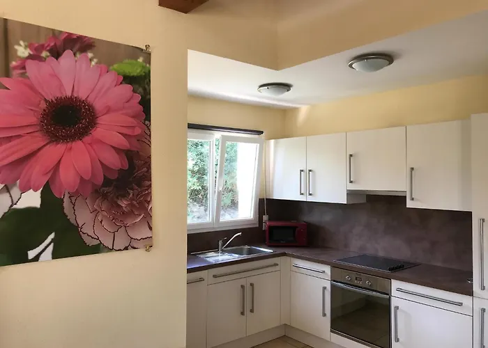 Spacious With Garden And Pool Сasa de vacaciones